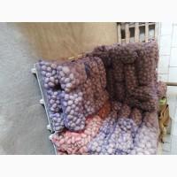 Продам картоплю товарну