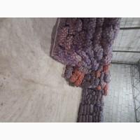 Продам картоплю товарну