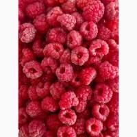 Купуємо малину заморожену, вся Україна, оптом