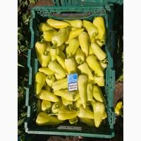 Продам перец