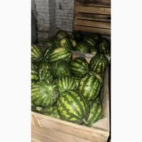 Продам Кавун якість калібр 5-15кг