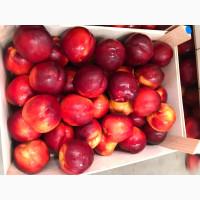 Продаем нектарины