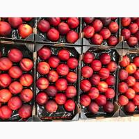 Продаем нектарины