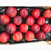 Продаем нектарины