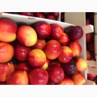 Продаем нектарины