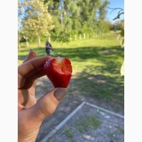 Продам 8 га земли біля Дніпра