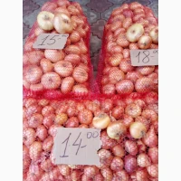 Продам цибулю Штутгард на перо