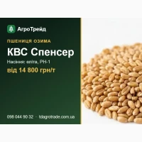 Пшениця озима КВС Спенсер: сертифіковане насіння (KWS), від 14 800 грн/т