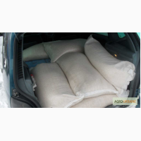 Продам сахар буряковый 2 категории в мешках по 50 кг