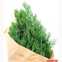 Продам укроп