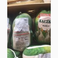 Продам гусей замороженных в в/у оптом