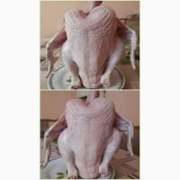 Продам Бройлери