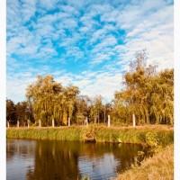 Продажа карпа живого оптом
