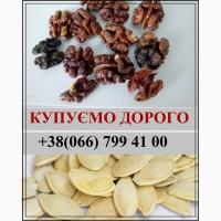 Купуємо насіння гарбуза та грецький горіх