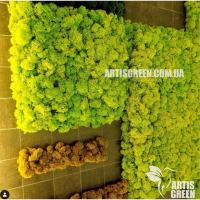 Картины и панно из мха и стабилизированных растений