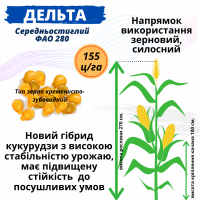 Насіння кукурудзи в наявності!!! Гібрид ДЕЛЬТА