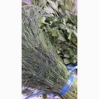 Продам зелень