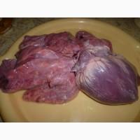 Куплю свиные субпродукты