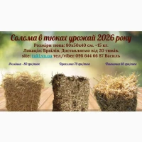 Солома пшенична, ячмінна, горохляна в тюках тюки збору урожаю 2026 р в НАЯВНОСТІ