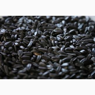 Купуємо соняшник, розрахунок одразу