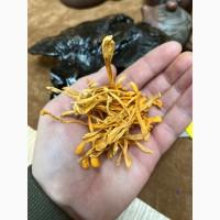 Настоянка з мухомора