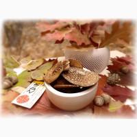 Мухомор ПАНТЕРНИЙ (Amanita Pantherina), сушені КАПЕЛЮШКИ від ZBIR, сезон 2025