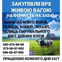 Закуповуємо ВРХ Корови Коні Бички Телята На М#039;ясо Та На Тримання