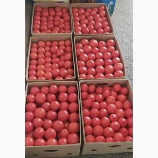 Продам помидор розовый 25 грн