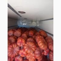 Продам тыкву