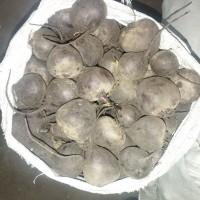 Продам буряк сорту Детройт