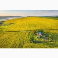 Закупка Ріпаку без ГМО по Україні