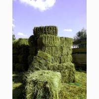 Сіно, солома