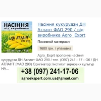 ДН Атлант (ФАО 290), Насіння кукурудзи від Agro_Exprt