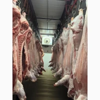 Продаж свіжої свинини та яловичини | будь-які об’єми
