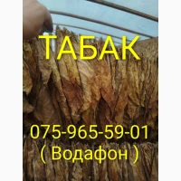 Тютюн Опт/Розница Лапша Пахуч. Чистый Сухой Вирджиния Кентуки Голд Берли. Табак Гильзы