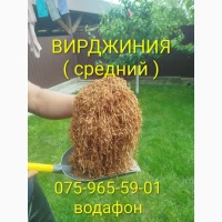 Тютюн Опт/Розница Лапша Пахуч. Чистый Сухой Вирджиния Кентуки Голд Берли. Табак Гильзы