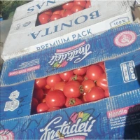 Продам помідори
