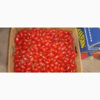 Продам помідори сливка Брісколіно (Київська область Обухівський р-н)