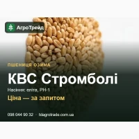 Сорт КВС Стромболі (озима пшениця) - насіння еліта, РН-1 з документами