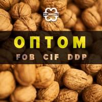Грецкий орех оптом в любую страну