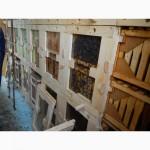 Продам Бджолопавільйон типу Берендєй