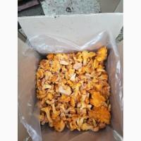 Лисичка быстрозамороженная