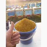 Пилок квітковий веснянний збору 2022року