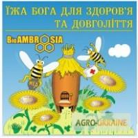 Продам гомогенат трутней , хитозан , апитоксин , прополис , воск , мёд