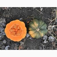 Продам тыкву