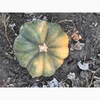 Продам тыкву
