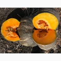 Продам тыкву