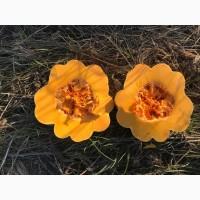 Продам тыкву