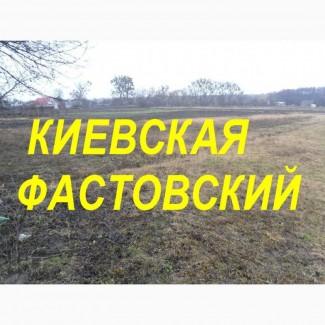 Участок земли в аренду Киевская область Фастовский Белоцерковский р-н