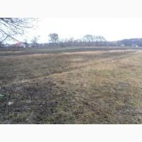 Участок земли в аренду Киевская область Фастовский Белоцерковский р-н